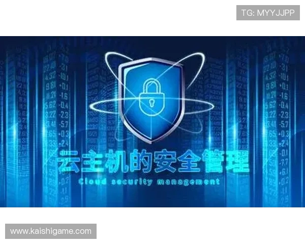 云开的网址安全使用攻略，如何避免潜在的网络风险与隐私泄露